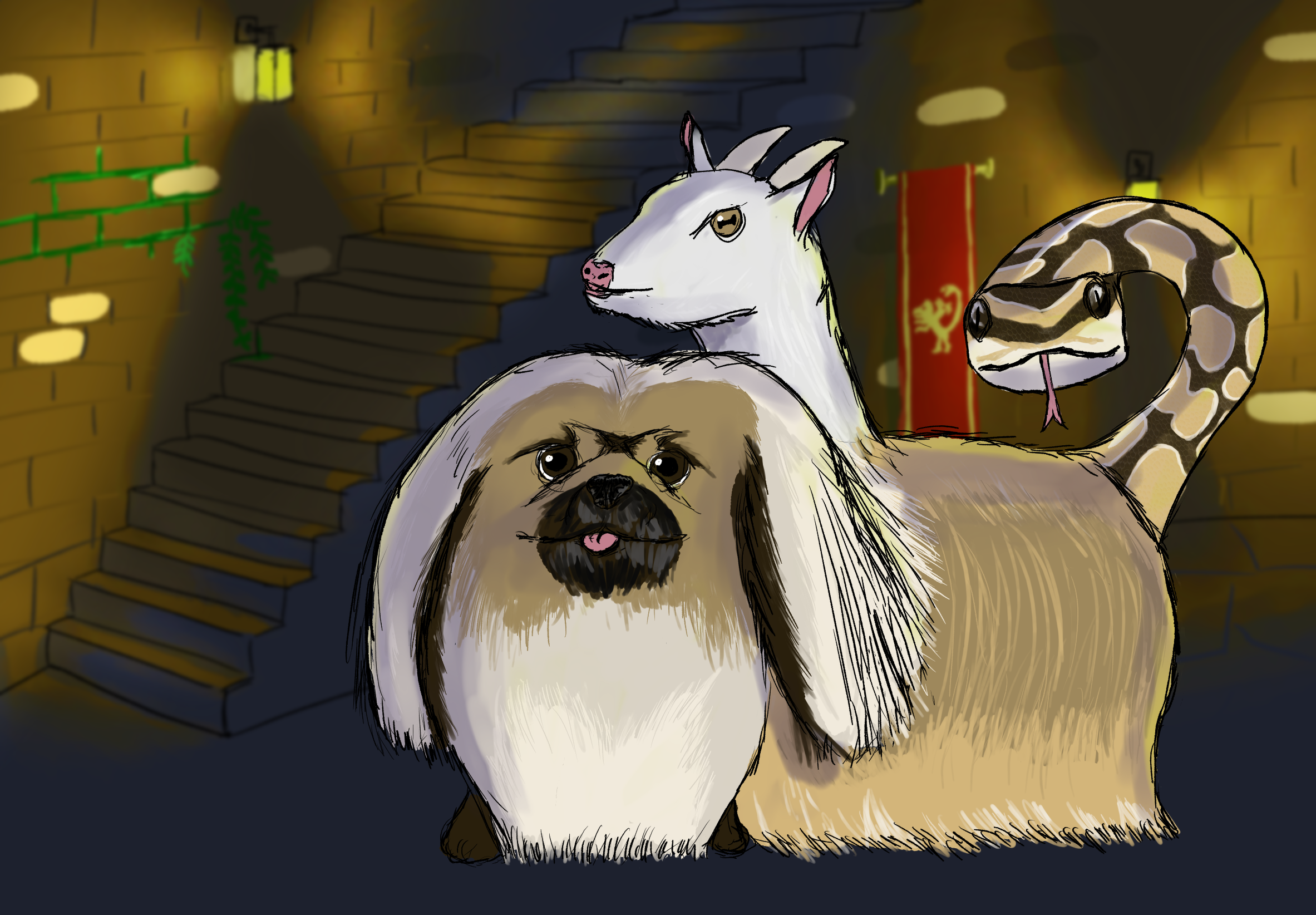 Pekingese chimera